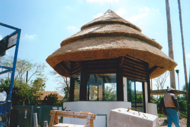 Hospitality (Hotels & Resorts)
